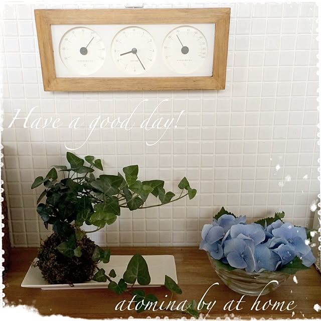 atominaさんの実例写真