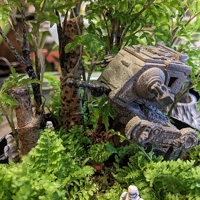 GINさんの実例写真