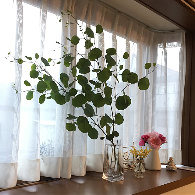 Junran50さんの実例写真