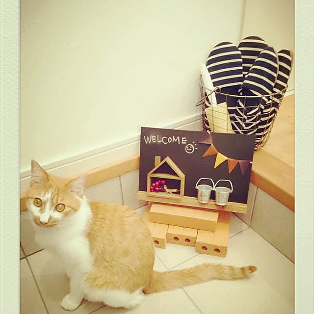 nishikoさんの実例写真