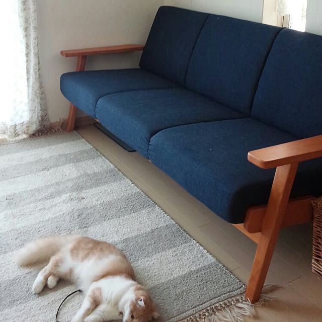 yuさんの実例写真