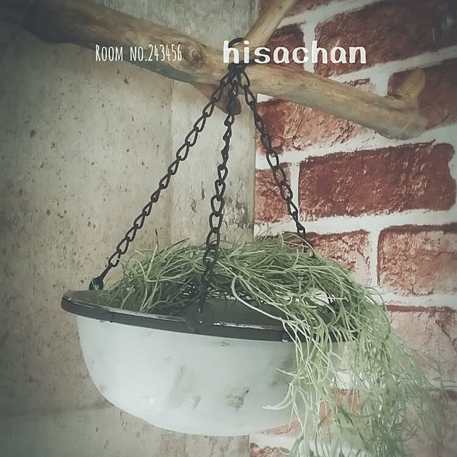 hisachanさんの実例写真