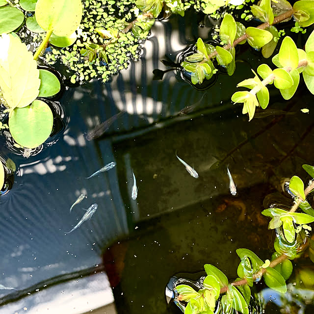 hiro1220さんの実例写真