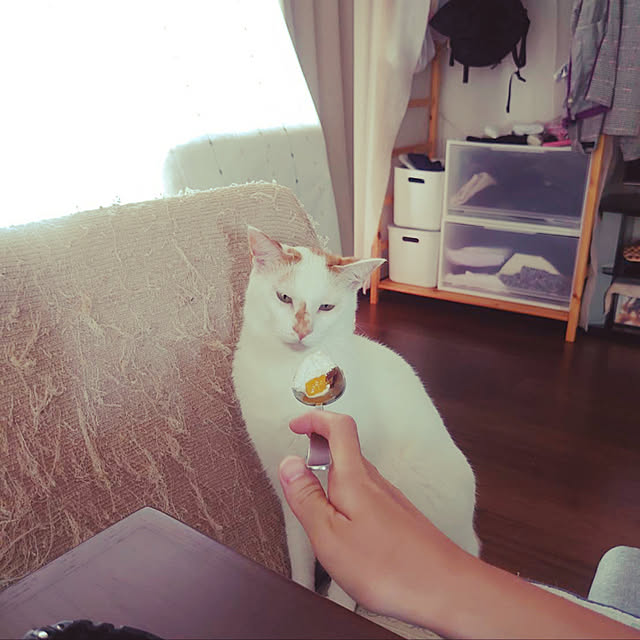 MUGIさんの実例写真