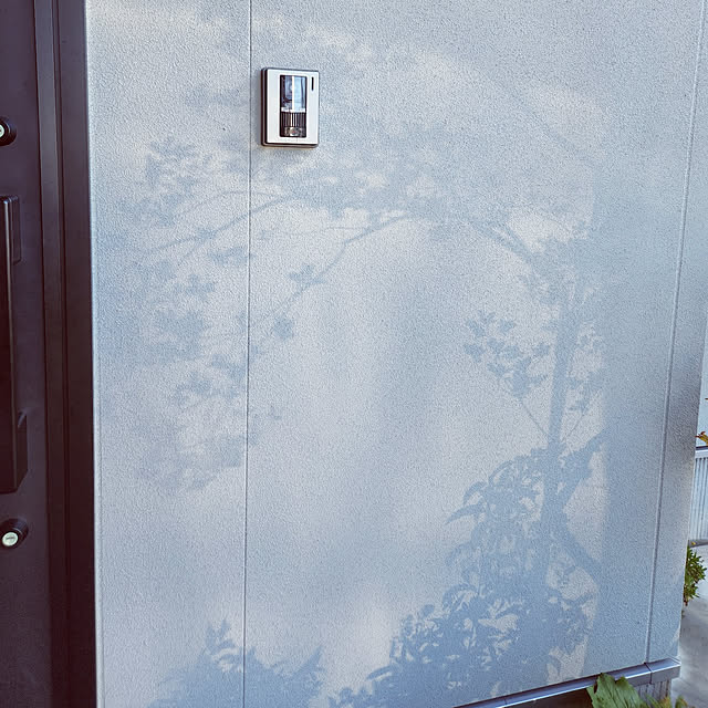 ezさんの実例写真