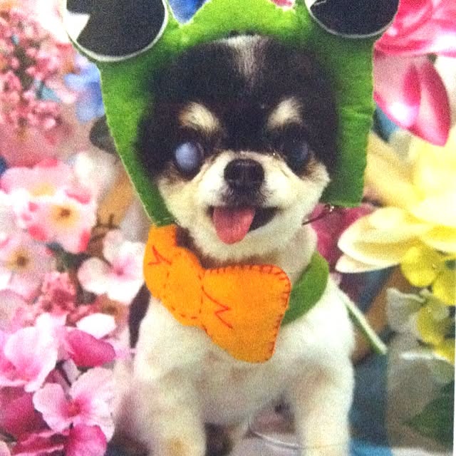 micciさんの実例写真