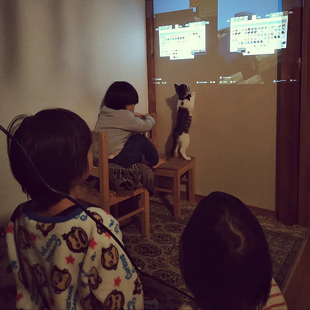 Aiさんの実例写真