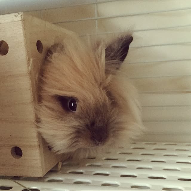 mさんの実例写真