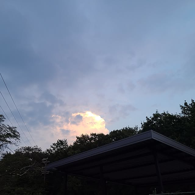 Rubiconさんの部屋