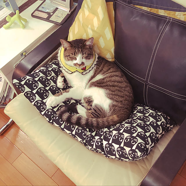 jijiさんの実例写真