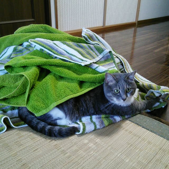 lovepandaさんの実例写真