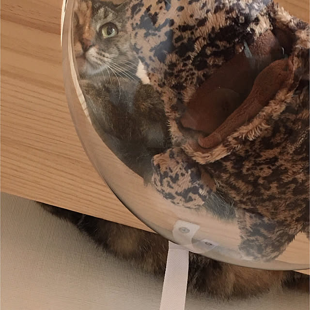 oasisさんの実例写真