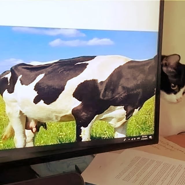 Tackunさんの部屋