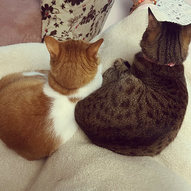 uutann320mozukuさんの実例写真