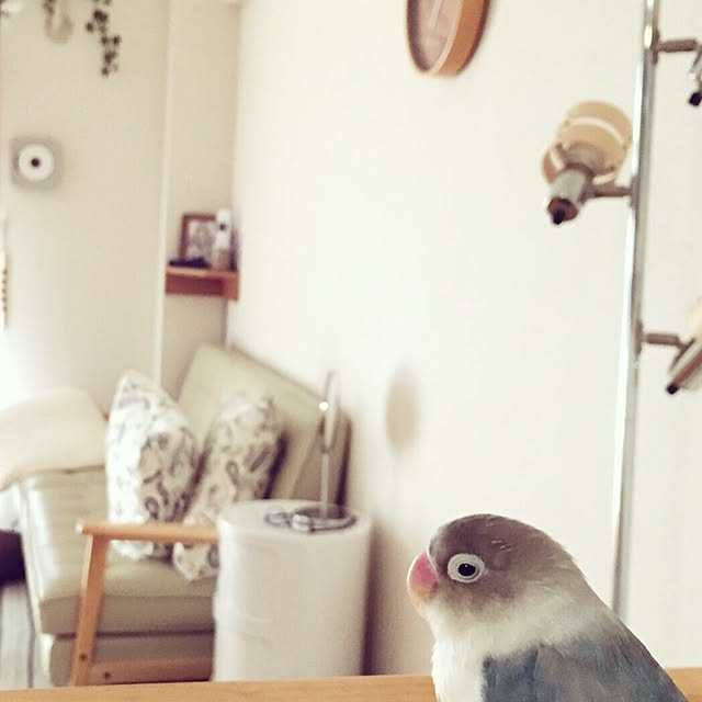 yoohさんの実例写真