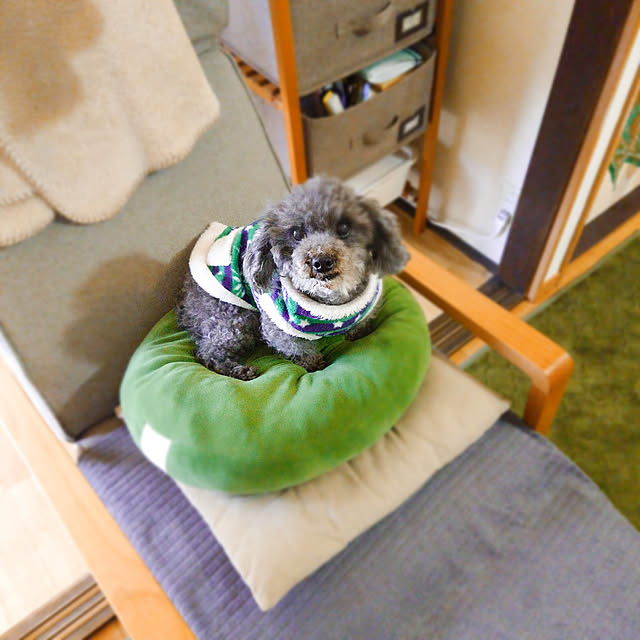 kanonさんの実例写真