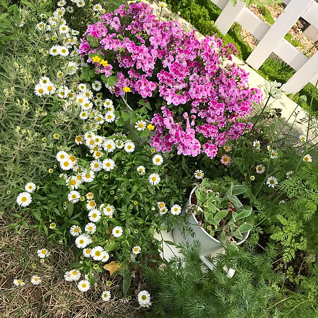 mini_archさんの実例写真