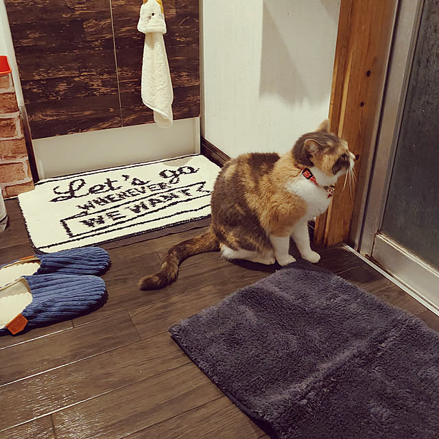 fukuさんの実例写真