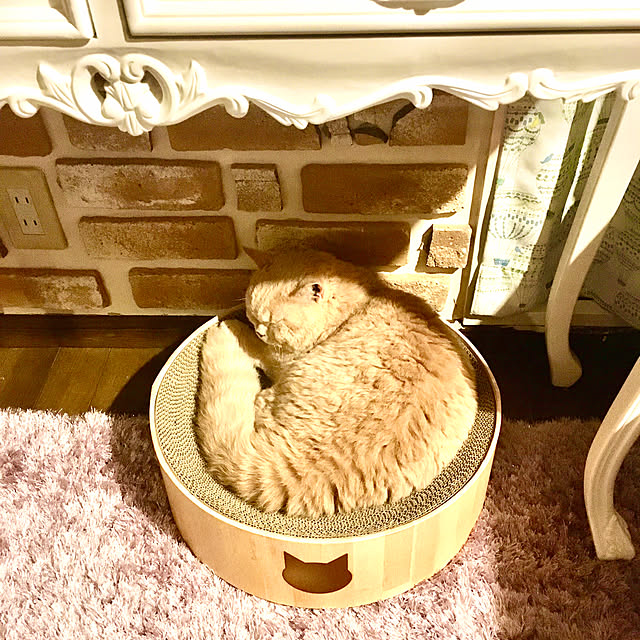 naokoさんの実例写真