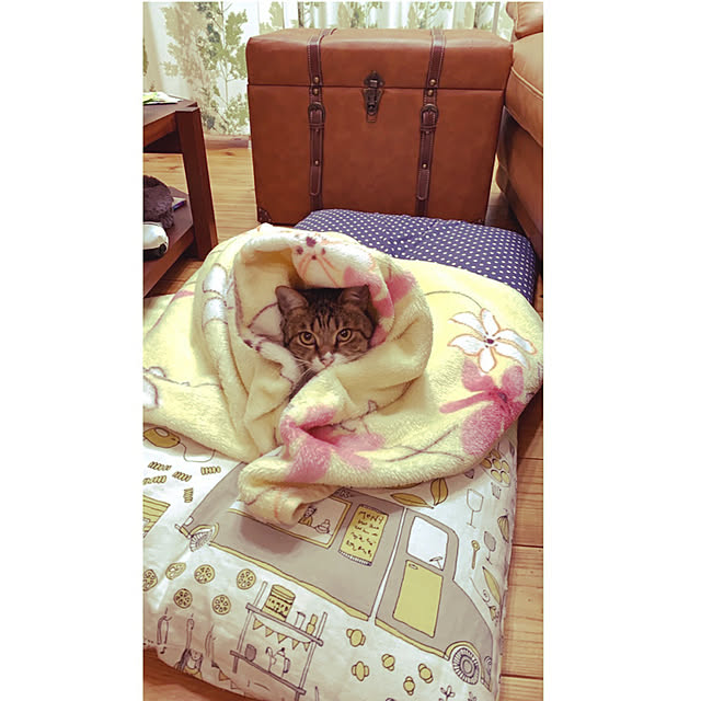 yurari.bonnさんの実例写真