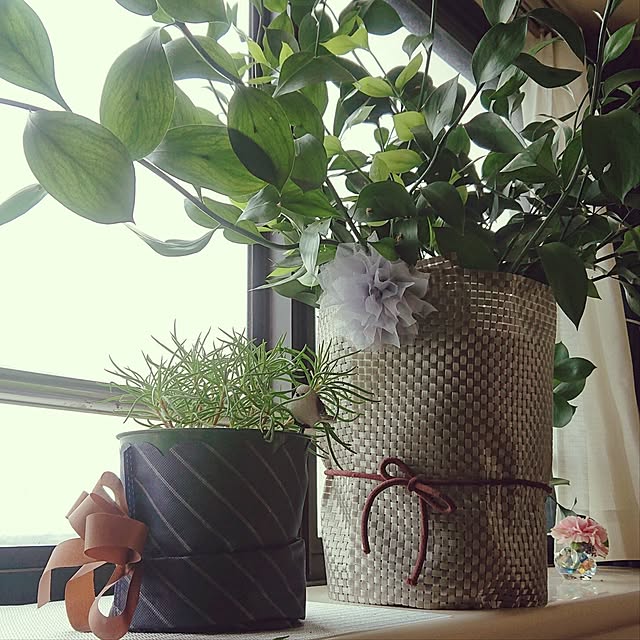 NOAHさんの部屋