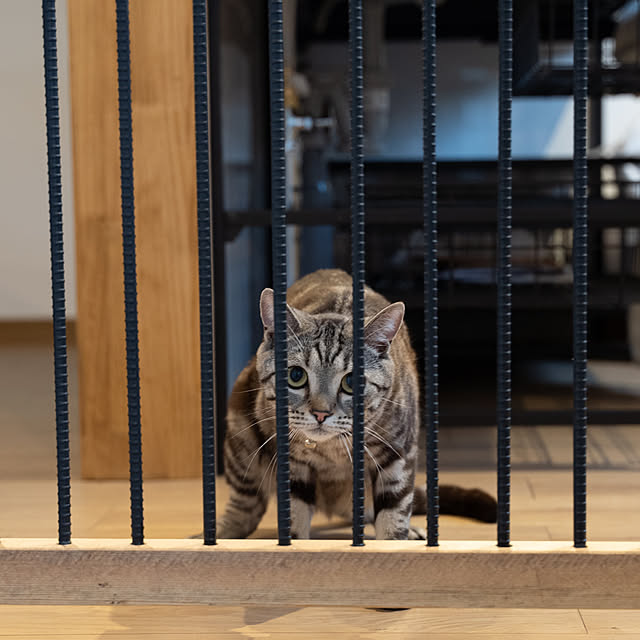 ailetechdworksさんの実例写真