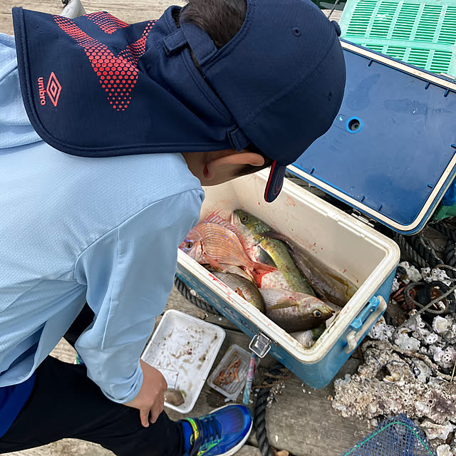 koshiregutyoさんの部屋
