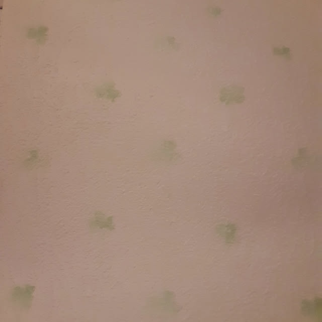 Kittyさんの実例写真