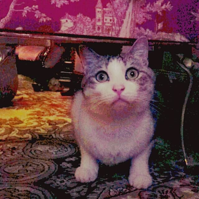 emmyyさんの実例写真