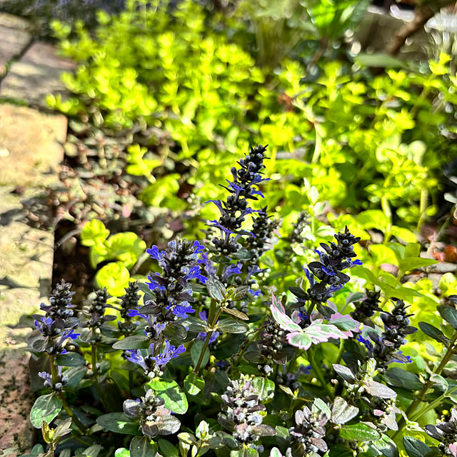 kyoko1124koさんの部屋