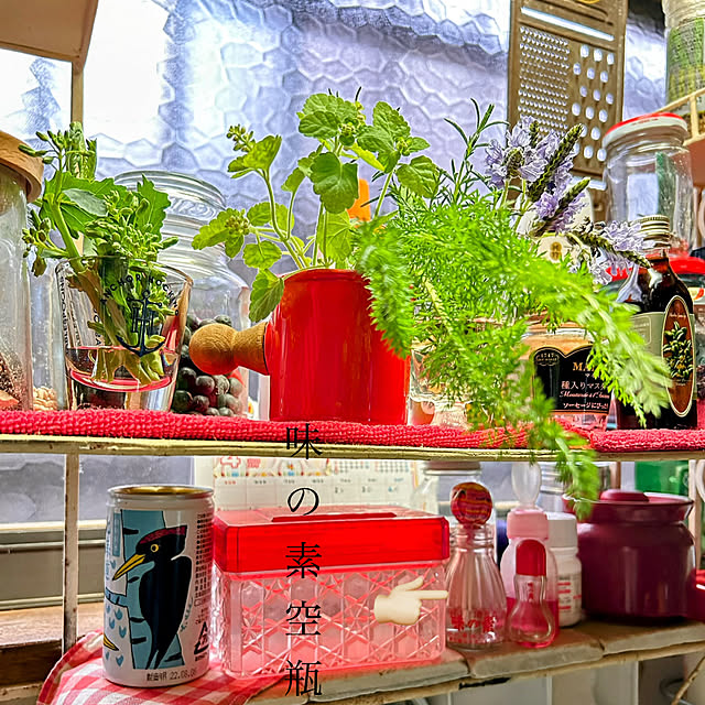 akaidarumaさんの部屋