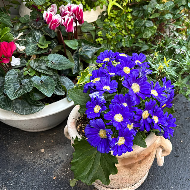 tututu0204さんの部屋