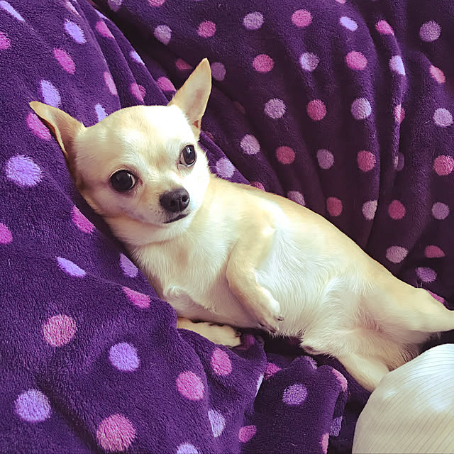 nacchintunnさんの実例写真