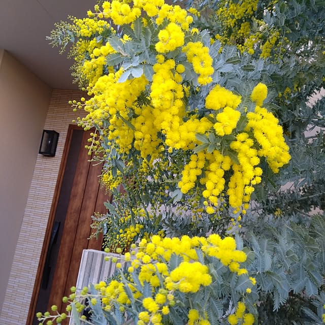 odecomaikoさんの実例写真