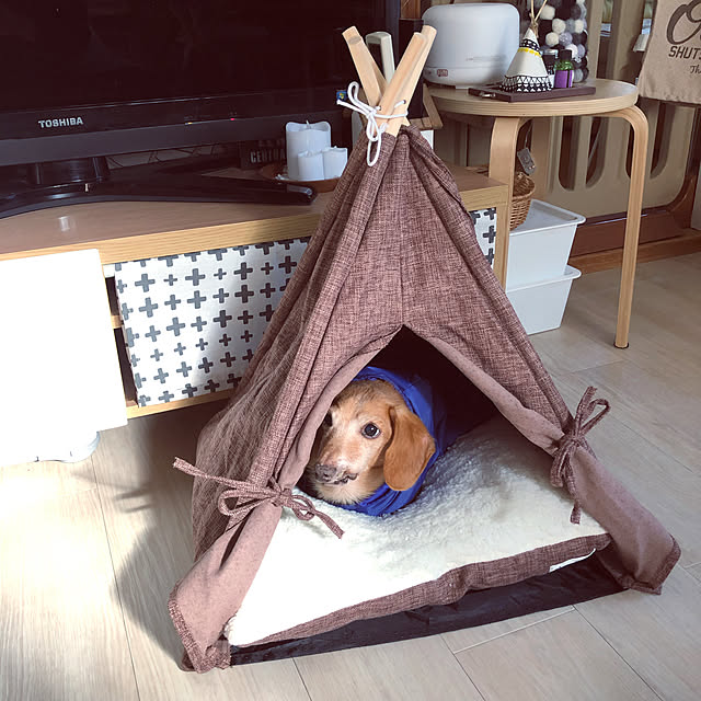 sachieさんの実例写真