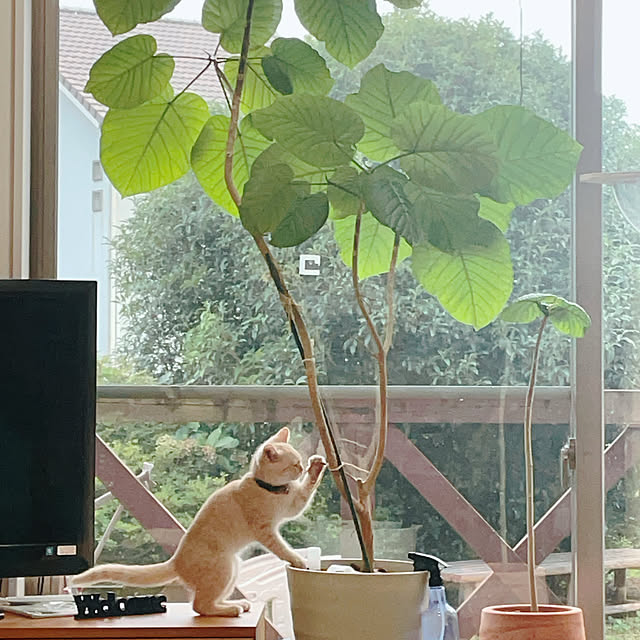 yumiさんの部屋