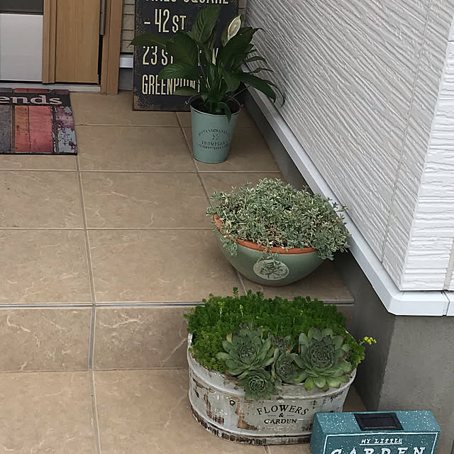 実例写真