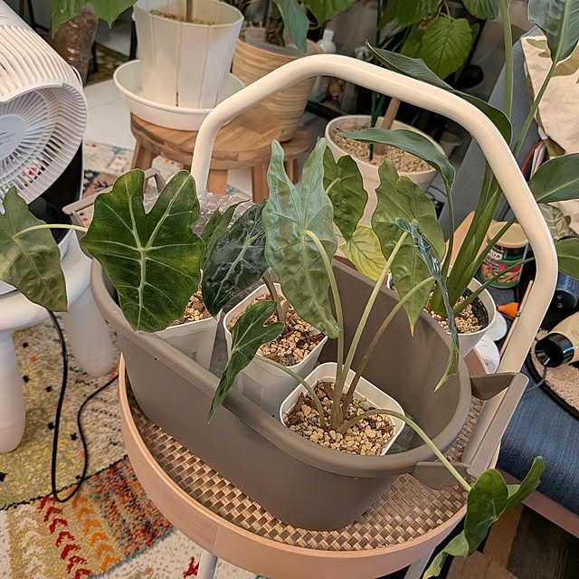 kolo92さんの部屋