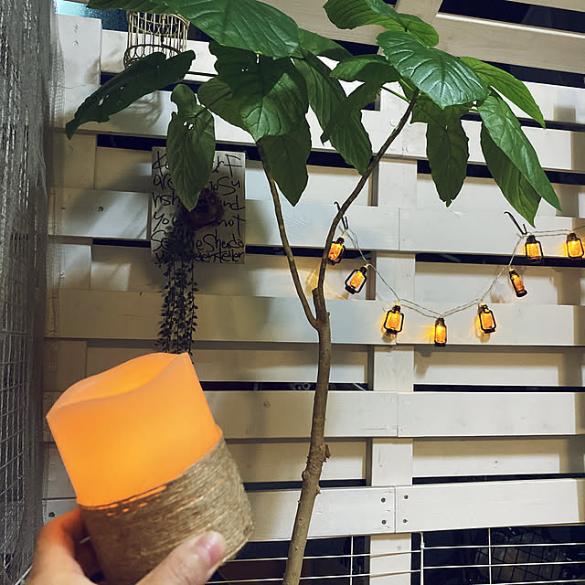masamasaさんの実例写真