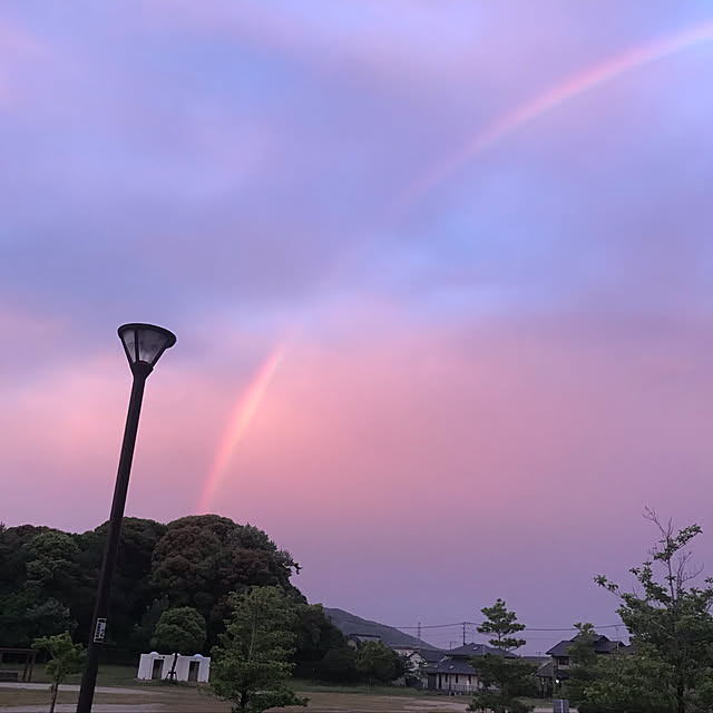 mocoさんの実例写真