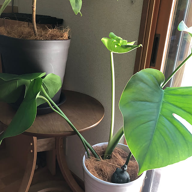CoffeeHouseさんの部屋