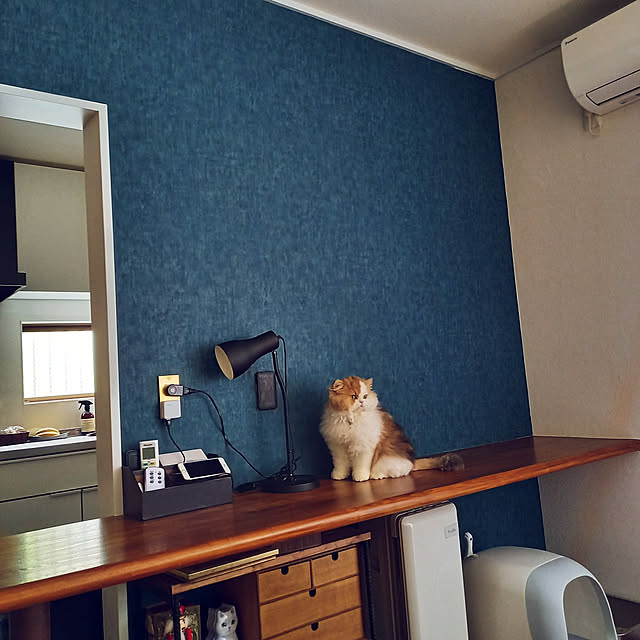 amutantanさんの実例写真
