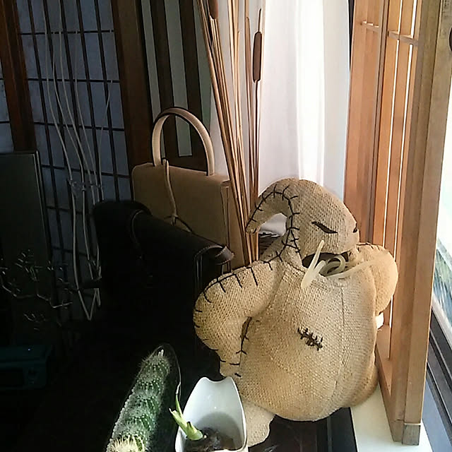 spinetailさんの実例写真