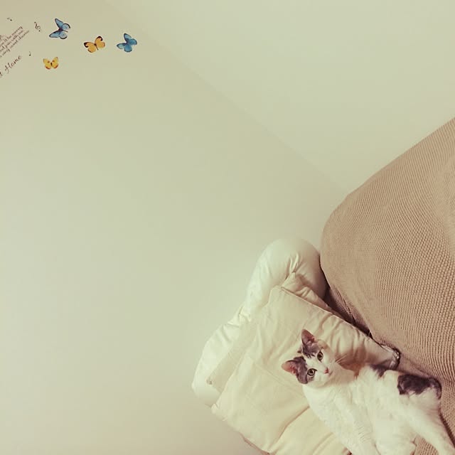 monamimiさんの実例写真
