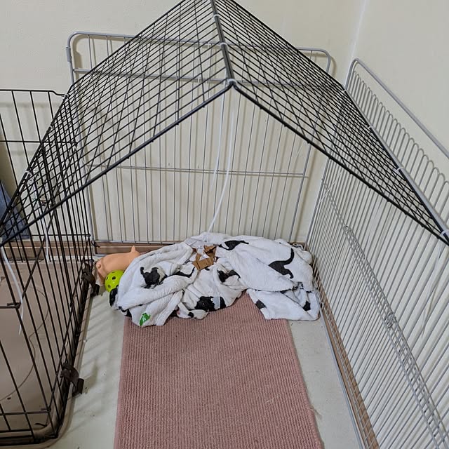 asaさんの実例写真