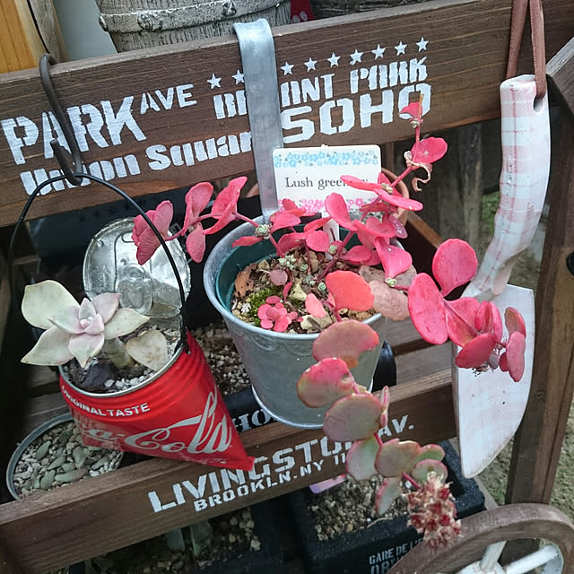 mozuku315さんの実例写真