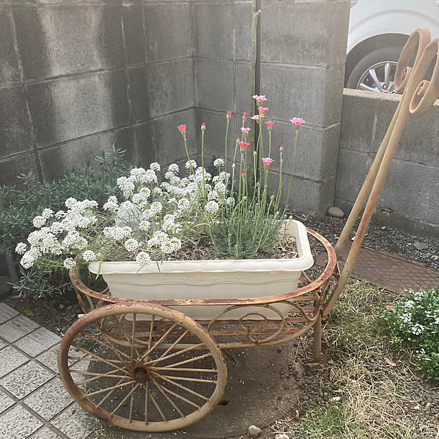 mamaさんの実例写真