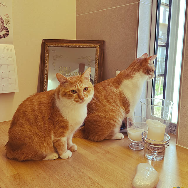 lemonadeさんの部屋