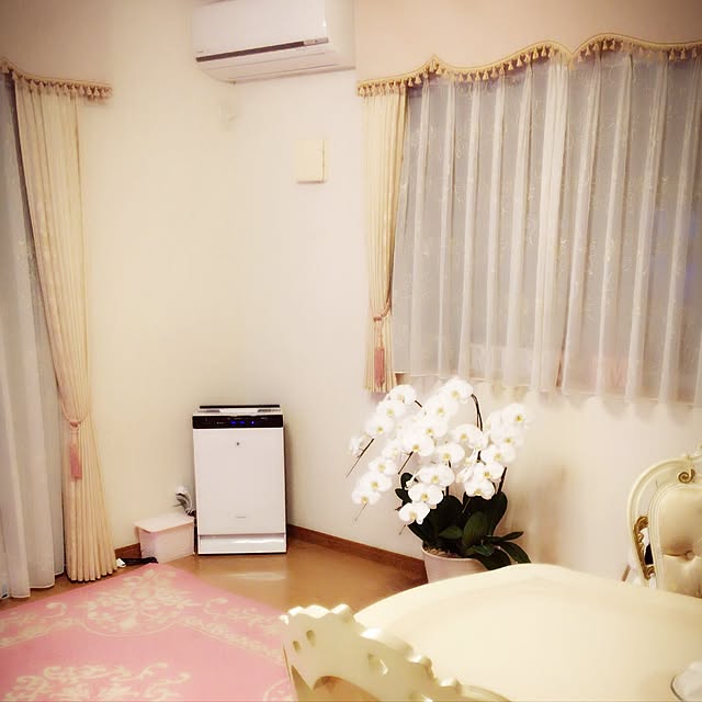 emiさんの実例写真
