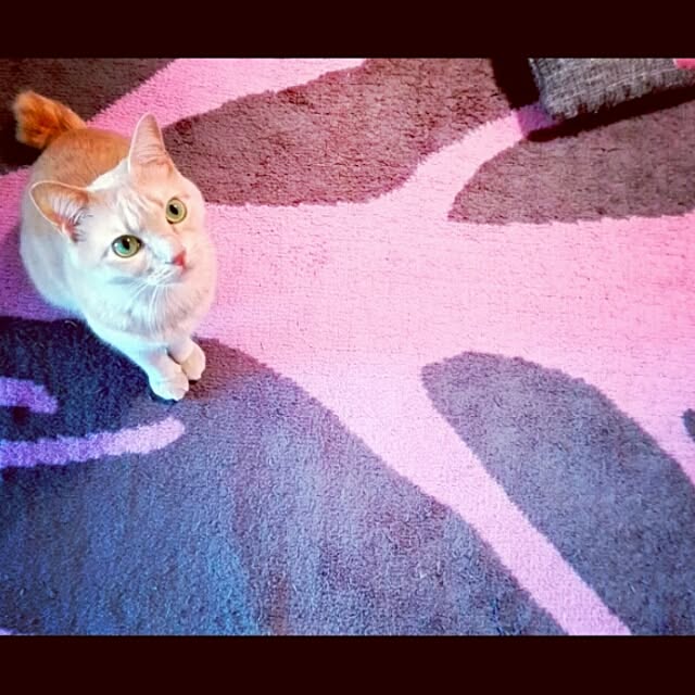 nana.maroさんの実例写真